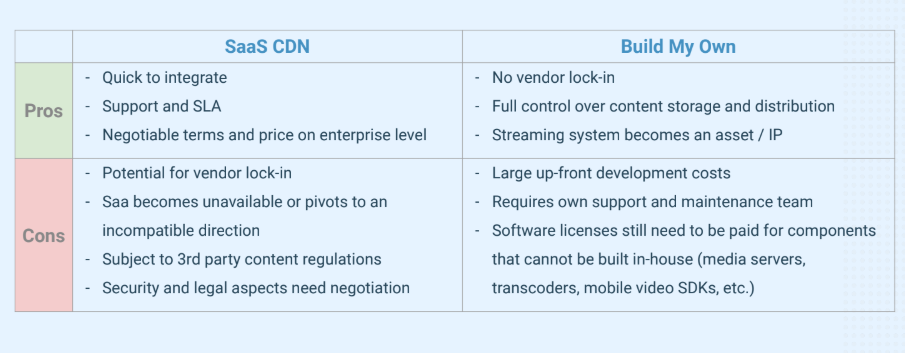 Trade-offs of Building a Video Streaming System Versus Using a Service